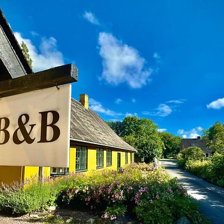 Dyrlev Bed & Breakfast Praesto Bagian luar foto