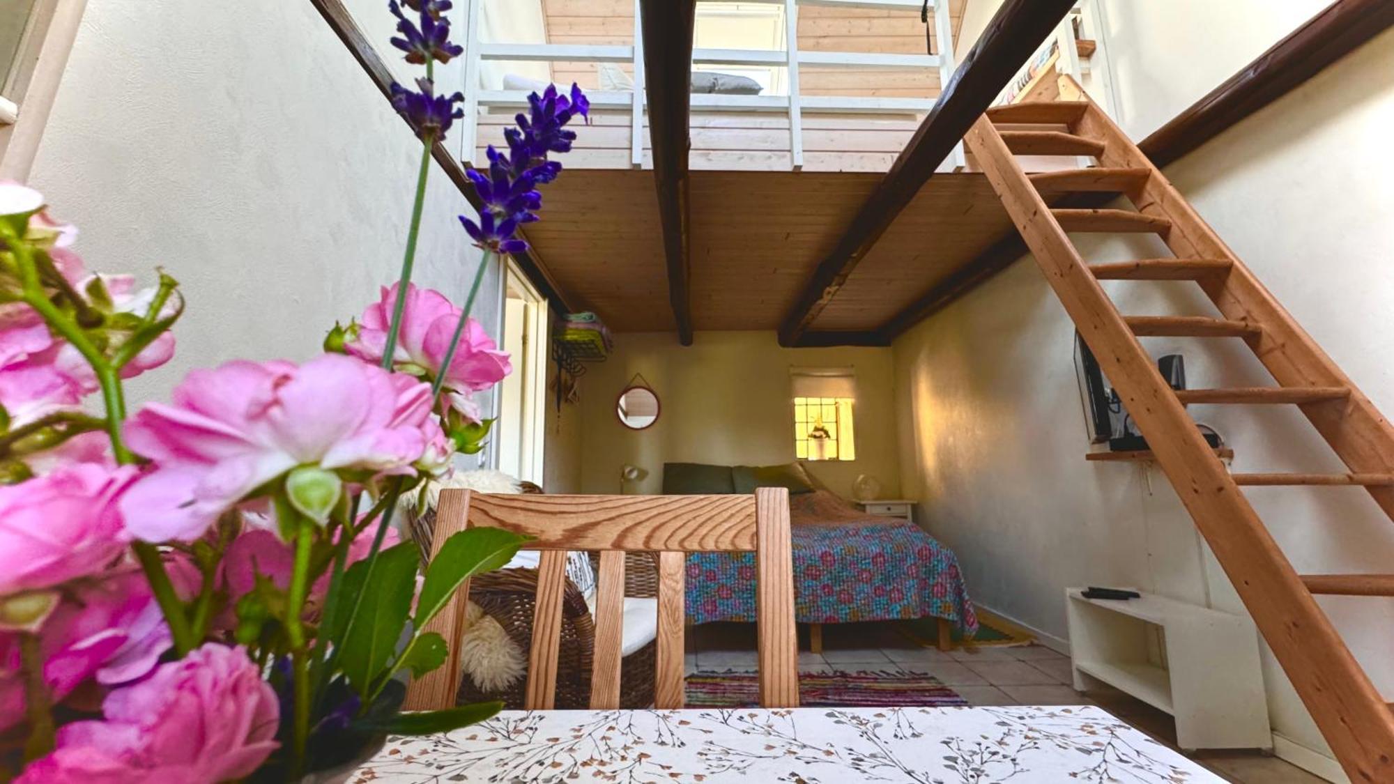 Dyrlev Bed & Breakfast Praesto Bagian luar foto